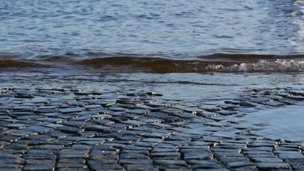 Vieux Remblai Pavé Saint Pétersbourg Vagues Courir Ralenti — Video