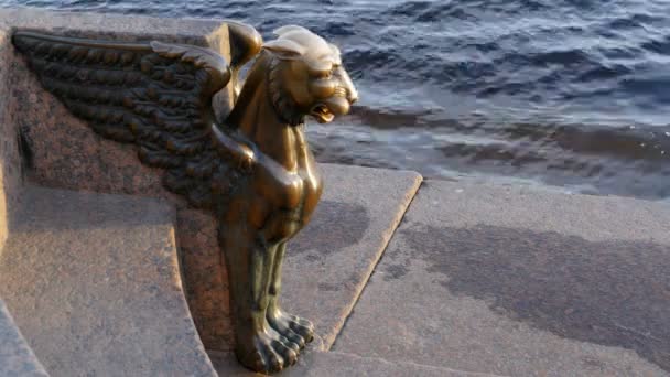 Skrzydlate Rzeźby Gryfa Promenada Sankt Petersburgu — Wideo stockowe