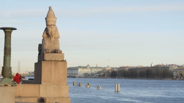 Mityczne Stworzenie Sfinksa Głową Egipskiego Faraona Sankt Petersburg Rosja Stycznia — Wideo stockowe