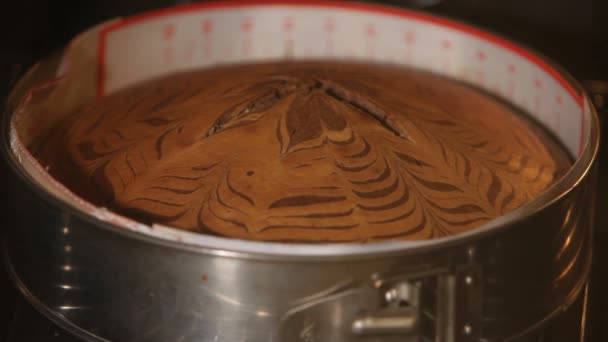 Keksz Sült Sütőben Sütő Edényben Közelről — Stock videók