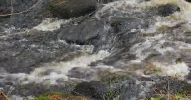 Быстрый Поток Воды Панорама Горного Потока — стоковое видео