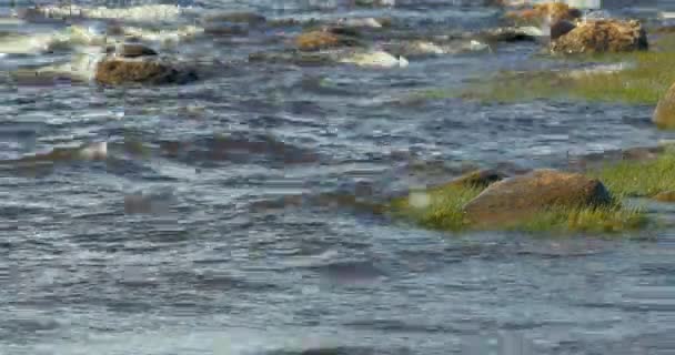 岩の多い海岸を波が走り — ストック動画