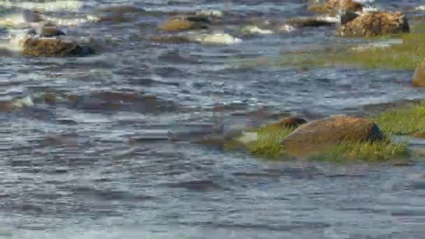 Les Vagues Courent Sur Côte Rocheuse — Video