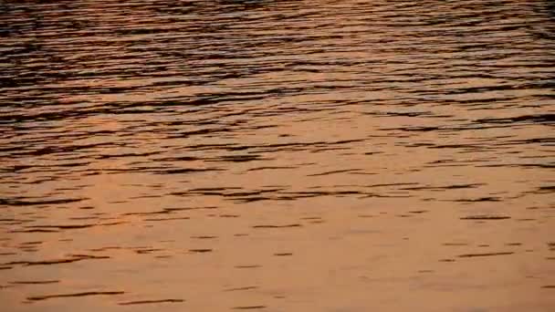 Goldener Sonnenuntergang Spiegelt Sich Wasser — Stockvideo