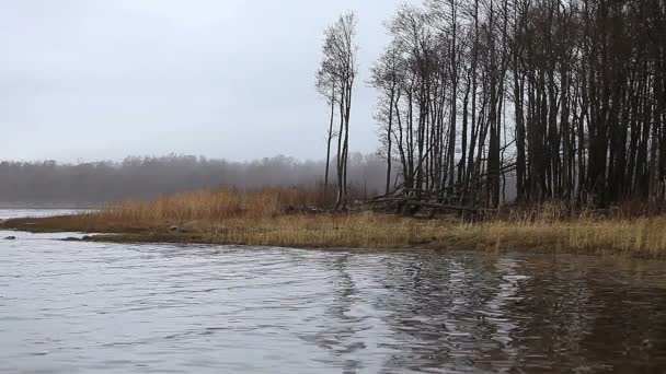 brouillard sur le lac paysage d'automne 