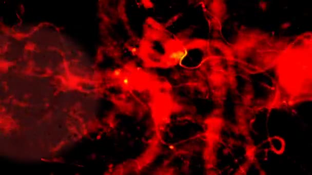 Pandémie Épidémie Coronavirus Covid Abstrait Animation — Video