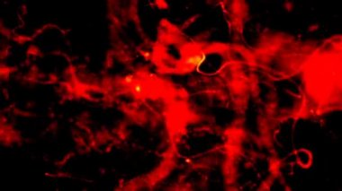 Pandemik soyut arkaplan canlandırması