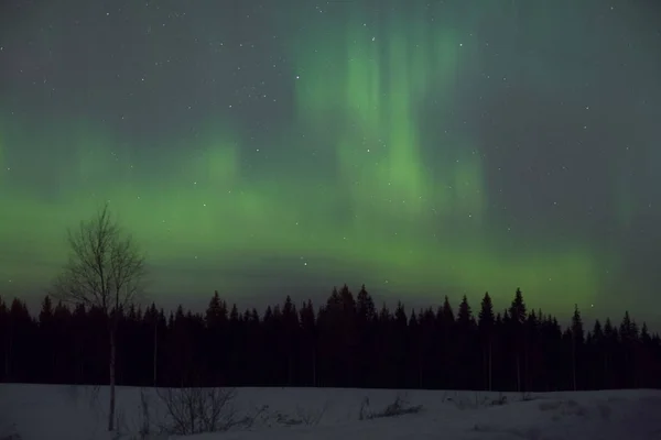 North of Russia — Stock Photo, Image