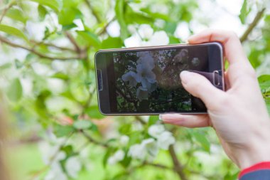 Bahar bahçeleri, siyah bir akıllı telefon ve genç bir kızın eli.