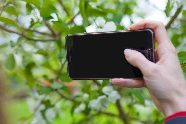 Bahar bahçeleri, siyah bir akıllı telefon ve genç bir kızın eli.