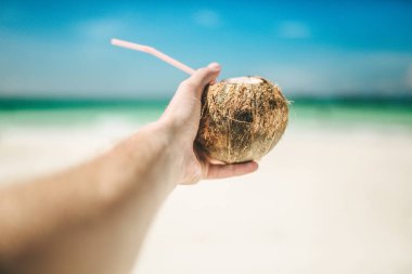 bir Hindistan cevizi içinde tropikal içki 