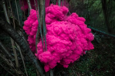 Pembe bulutlar ile soyut orman