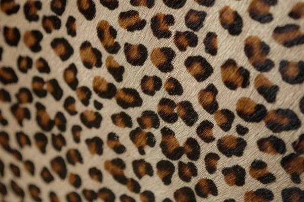 Fashion leopard pattern style bag