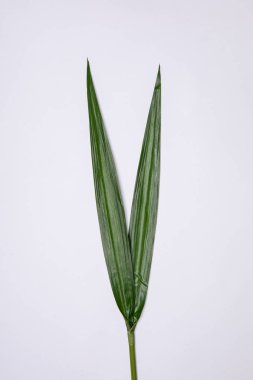 Şık çiçek dekorasyon arka plan 