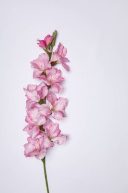 Şık çiçek dekorasyon arka plan 