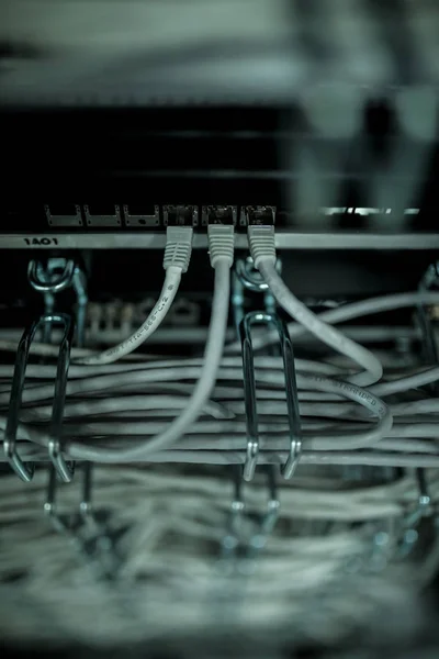 Close up of cables in rack in server room