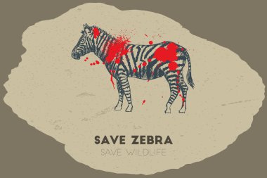 Zebra kaydedin. Yaban hayatı kurtarmak.