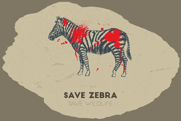 Sla zebra. Opslaan van dieren in het wild. — Stockvector