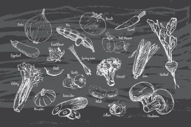 Sebze elle adı siyah zemin üzerine çizilmiş kümesi.