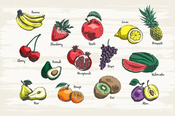 Conjunto de fruta dibujada a mano con colores y nombre . — Archivo Imágenes Vectoriales