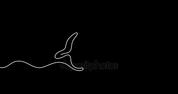 Swimming motion graphic design using movable single line. — Stock Video