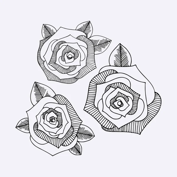 Розы. Ручной рисунок Векторное множество — стоковый вектор