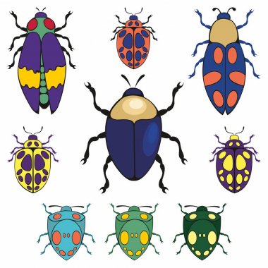 Böcekleri. Vektör çizimler kümesi