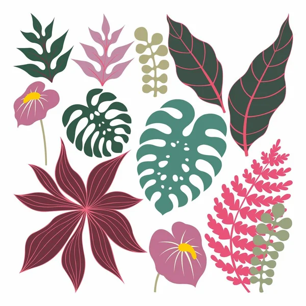 Тропические растения и листья. Векторное множество — стоковый вектор