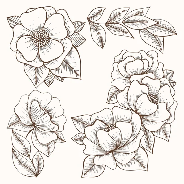 Flores. Dibujo manual. Conjunto de vectores — Archivo Imágenes Vectoriales