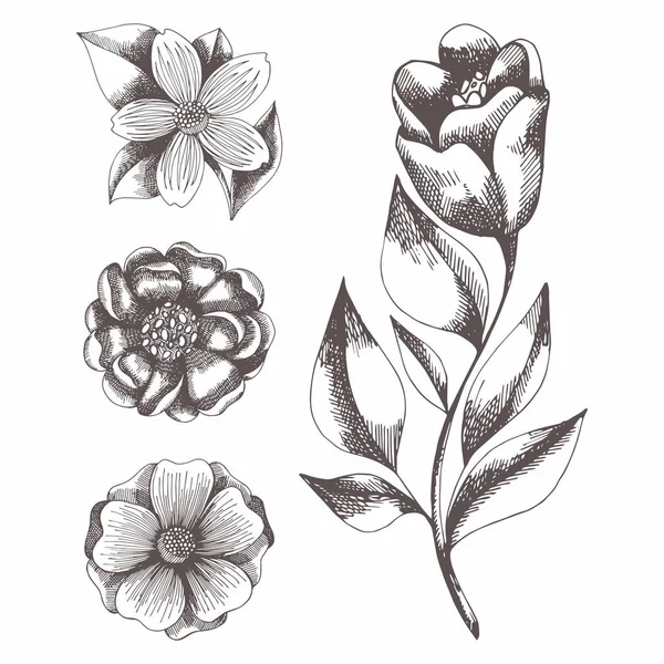 Цветы. Ручной рисунок Набор векторных иллюстраций — стоковый вектор