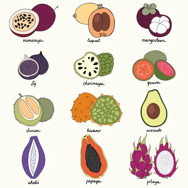 Frutas exóticas. Conjunto de ilustrações vetoriais —  Vetores de Stock