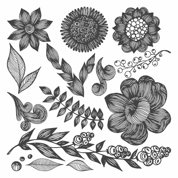 Conjunto de vectores con flores, hojas y ramas. Dibujo manual — Vector de stock