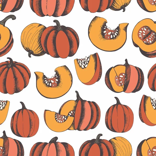 Balkabağı. El çizimi. Vektör Dikişsiz desen tasarım ve dekorasyon için