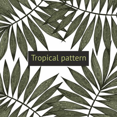 Tropikal dalları. Vektör arka plan Satılık