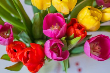 Kırpma yolu ile beyaz arka planda izole lale buket. Üst görünüm.