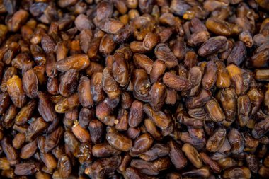 Kurutulmuş tarihleri meyve ile yakın çekim kalıbı