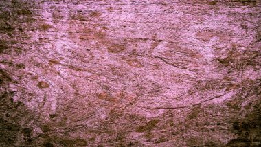 Ahşap dokulu arka plan, arka plan