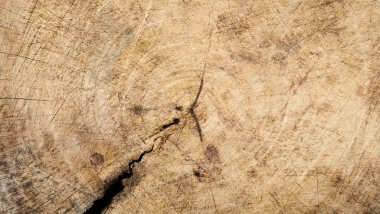 dokulu ahşap arka plan