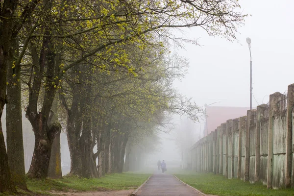 Nebelschwaden mit Bäumen auf der einen Seite. — Stockfoto