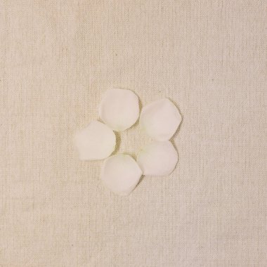 bej kumaş arka plan üzerinde beyaz çiçek yaprağı