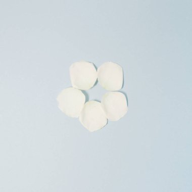 skyblue arka plan üzerinde beyaz çiçek yaprağı