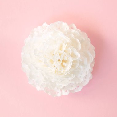 Origami çiçek, pembe arka plan izole