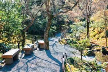 Tenryuji Tapınağı, Kyoto, Japonya için bahçe sahne