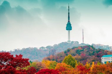 Namsan Seul Kulesi ve sonbaharda akçaağaç Kore