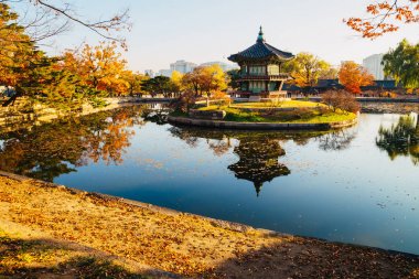 Gyeongbokgung Sarayı Hyangwonjeong sonbahar Seul, Kore