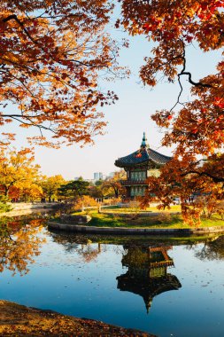 Gyeongbokgung Sarayı Hyangwonjeong sonbahar Seul, Kore