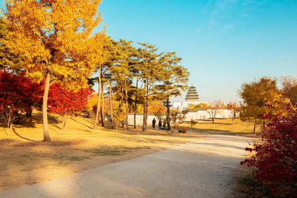 Осінь клен дерево дороги в Кенбоккун в Сеулі, Корея — стокове фото