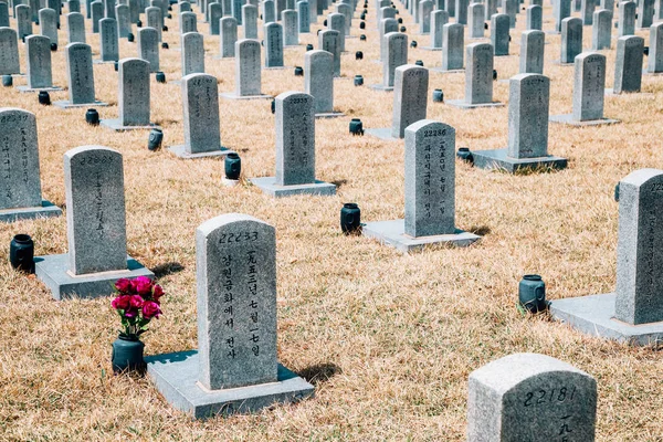 Grabsteine im Frühling auf dem Nationalfriedhof von Seoul, Korea — Stockfoto