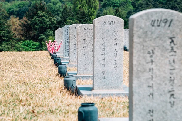 Náhrobky na jaře v Seoul National Cemetery, v Koreji — Stock fotografie