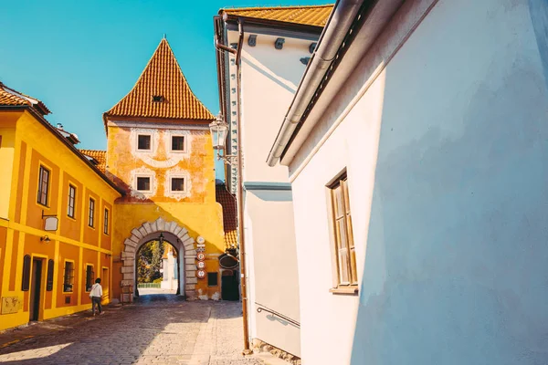 European buildings and street in Cesky Krumlov, Czech